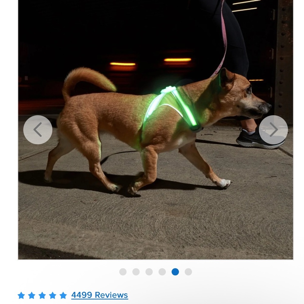 LED Dog Harness - Green